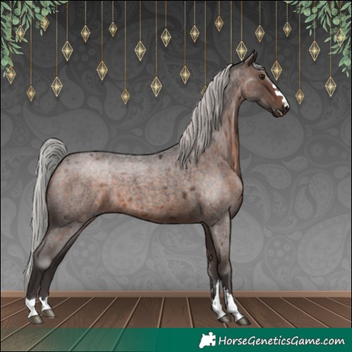 Horse Color:Silver Brown Roan Mushroom 