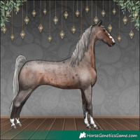 Horse Color:Silver Brown Roan Mushroom