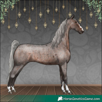 Horse Color:Silver Brown Roan Mushroom 