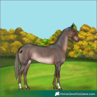 Horse Color:Liver Red Roan Mushroom Rabicano