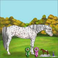 Horse Color:Brown Appaloosa