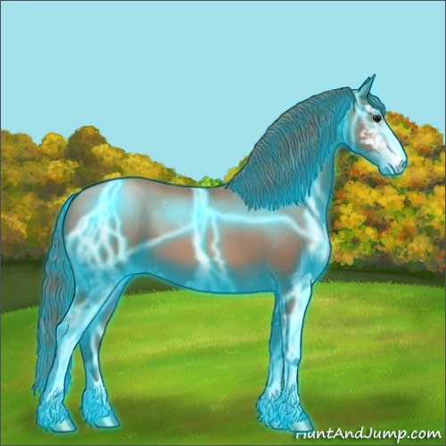 Horse Color:Thunderstruck Black Pearl Sabino 