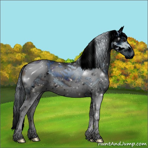 Horse Color:ERROR: UNKNOWN ANOMALY