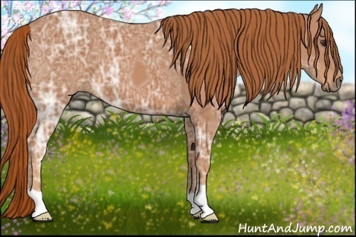 Horse Color:Chestnut Ice 