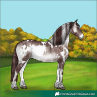 Horse Color:Platinum White Spotted Chocolate Brown Onyx 