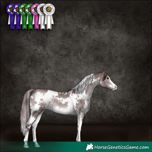 Horse Color:Platinum White Spotted Chocolate Brown Dun