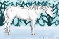 Horse Color:Gold Cream Champagne Chinchilla Onyx Sabino Appaloosa Rabicano Brindle 