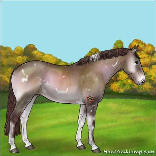Horse Color:Platinum White Spotted Chocolate Brown Onyx 