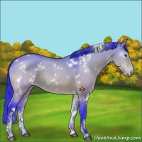 Horse Color:Watercolor White Spotted Brown Dun Sabino 