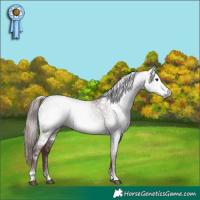Horse Color:Gray Platinum White Spotted Chocolate Brown Dun 