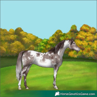 Horse Color:Platinum White Spotted Chocolate Brown Dun 