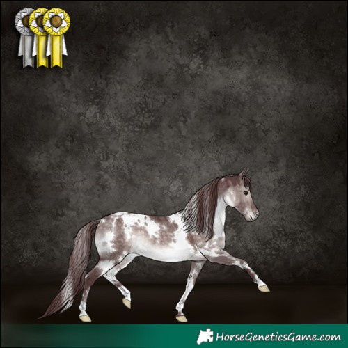 Horse Color:Platinum White Spotted Chocolate Brown Dun 