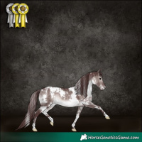 Horse Color:Platinum White Spotted Chocolate Brown Dun 