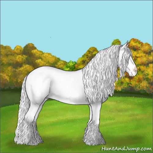 Horse Color:Chocolate Sable Cream Champagne Chinchilla Pearl Dun Appaloosa Rabicano