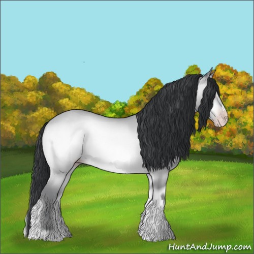 Horse Color:Sable Champagne Chinchilla Onyx