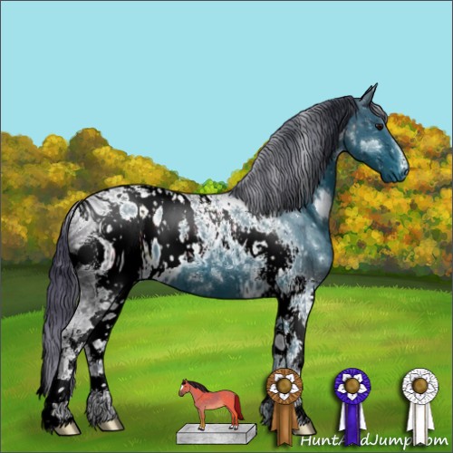 Horse Color:ERROR: UNKNOWN ANOMALY