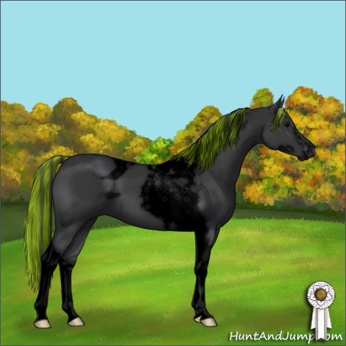 Horse Color:ERROR: UNKNOWN ANOMALY