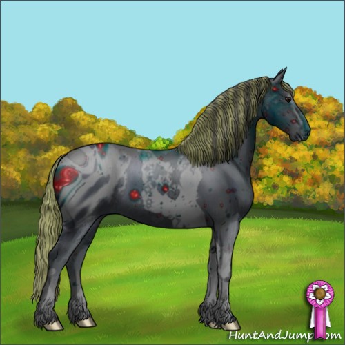 Horse Color:ERROR: UNKNOWN ANOMALY