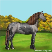 Horse Color:Void Painted Grullo Tobiano 