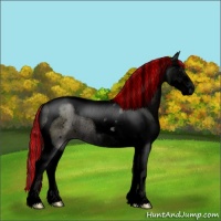 Horse Color:Void Painted Grullo Sabino Tobiano Rabicano 