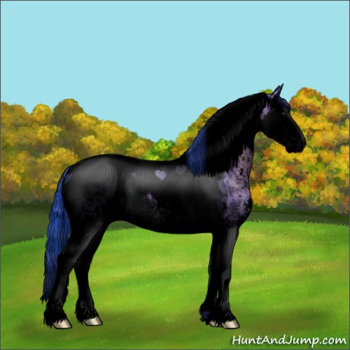 Horse Color:Void Watercolor Brown Dun Sabino Splash Tobiano Rabicano 