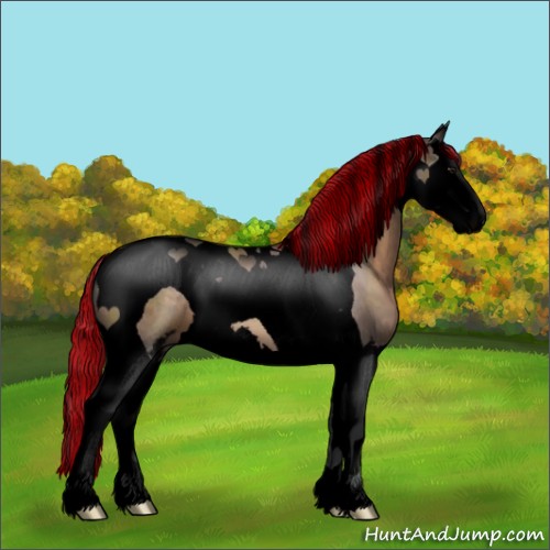 Horse Color:Void Painted Brown Dun Sabino Splash Tobiano 