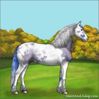 Horse Color:Watercolor Grullo Splash Tobiano 
