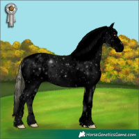 Horse Color:Void Watercolor Grullo Chinchilla Tobiano Appaloosa 