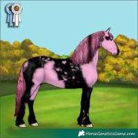 Horse Color:Void Painted Watercolor Black Chinchilla Tobiano 