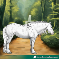 Horse Color:Silver Buckskin Chinchilla Onyx Near Leopard Brindle 