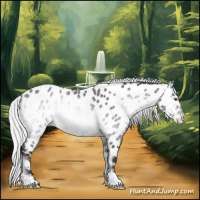 Horse Color:Silver Buckskin Chinchilla Onyx Appaloosa Brindle 