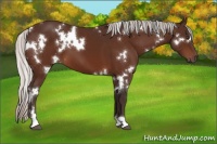 Horse Color:White Spotted Silver Brown 