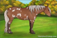 Horse Color:White Spotted Silver Bay 