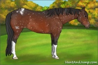 Horse Color:Brown Mushroom Snowflake Varnish