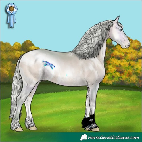 Horse Color:ERROR: UNKNOWN ANOMALY