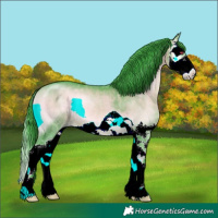 Horse Color:Watercolor Bay Chinchilla Onyx Splash 
