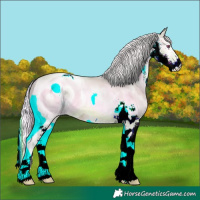 Horse Color:ERROR: UNKNOWN ANOMALY