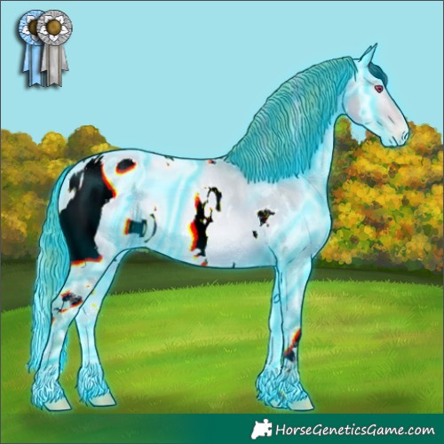 Horse Color:ERROR: UNKNOWN ANOMALY