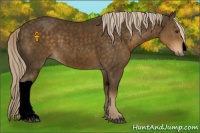 Horse Color:Void Chocolate Palomino Roan