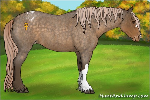 Horse Color:Chocolate Palomino Roan Blanket 