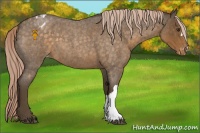 Horse Color:Chocolate Palomino Roan Blanket