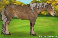 Horse Color:Void Chocolate Palomino Roan Appaloosa