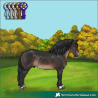 Horse Color:Brown Rabicano