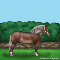 Horse Color:Silver Brown