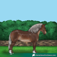 Horse Color:Silver Brown 
