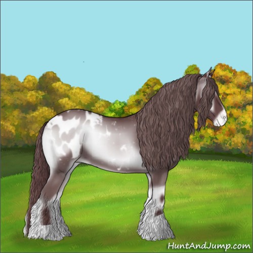 Horse Color:Chocolate Blue Onyx Chinchilla Appaloosa 