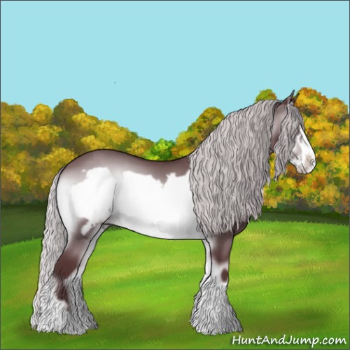 Horse Color:Chocolate Silver Brown Chinchilla Onyx Frame 