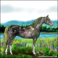 Horse Color:Nacre Watercolor Liver Red Onyx Ice Pearl 