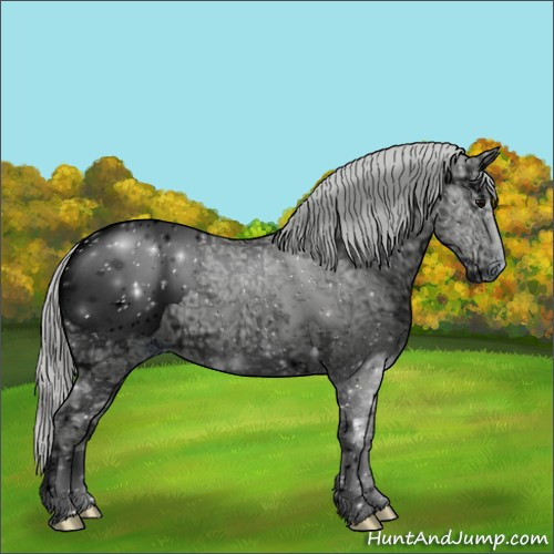Horse Color:ERROR: UNKNOWN ANOMALY