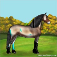 Horse Color:Brown Onyx Tobiano 
